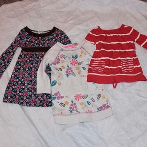 3T Girls fall Tunics Bundle